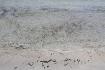 spiaggia di sabbia con acqua cristallina e piccole alghe