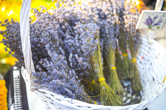 Bunches of dried lavender in basket. flower shop.