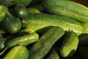 Up close of a basket full of cucumbers at the Carolina Beach Farmer's Market