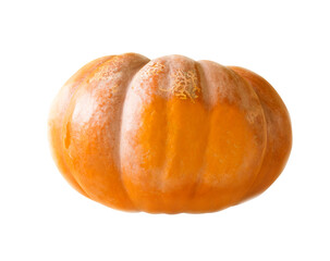 Large orange pumpkin with specks