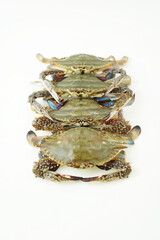 Fresh Crab isolated on white background,Seafood crab on ice