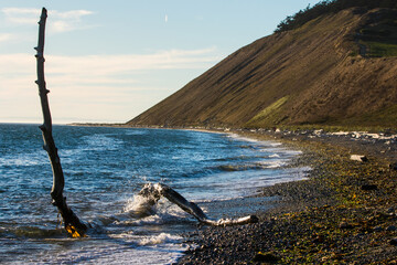 Bluffs at Ebey's Landing  on Whidbey Island Washington at Sunset