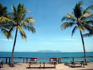 Fototapeta na wymiar palm trees on magnetic island, australia