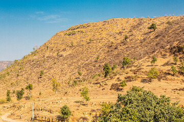 Ranthambhore National Park, Rasjasthan. India