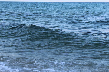 Frolicking Ocean Waves