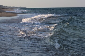 Frolicking Ocean Waves