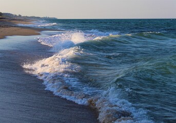 Frolicking Ocean Waves