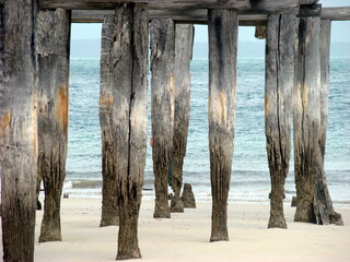 Old pier on beach ocean