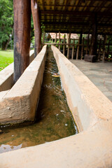 old wooden bridge