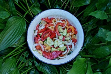 salad food of chopped fresh tomatoes, cucumbers and onions in a white plate in green plant leaves in nature