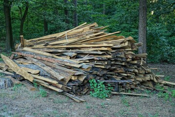 large pile of long brown wooden planks on nature in the forest