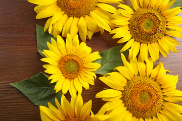 Beautiful bright sunflowers on wooden background, flat lay