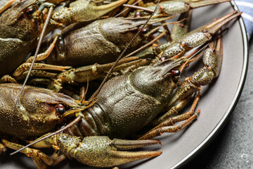 Fresh raw crayfishes on table, closeup view