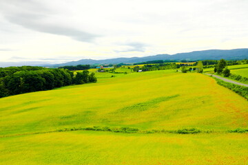 Fototapeta na wymiar 丘の上の公園からの景色