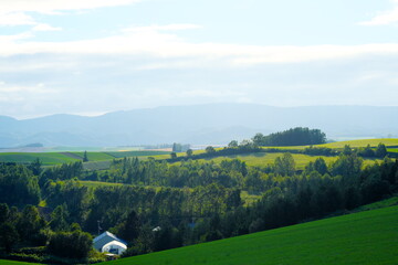 Fototapeta na wymiar 丘からの美しい眺望