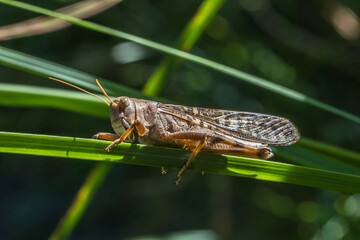 Relaxing in the sun