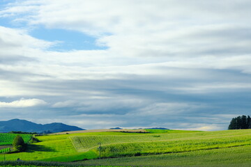 丘からの美しい風景