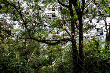 Love and promise padlocks in a mesh wire with tree background