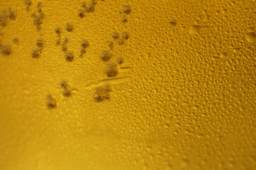 Wet glass of beer, golden color in the dark