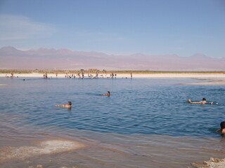 lake in south american atacama desert altiplano with mountains