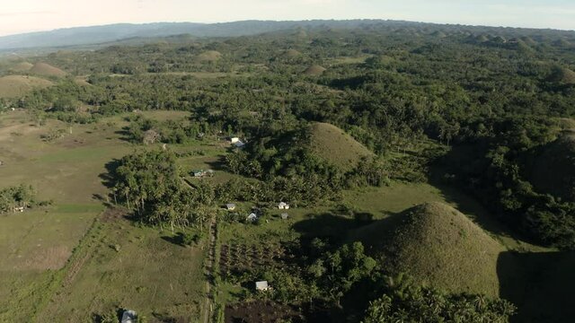 Drone shot of Green Chokolate hills  in the philippines