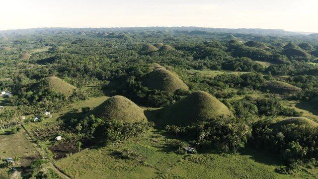 Drone shot of Green Chokolate hills  in the philippines