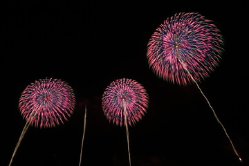 2019柏崎の花火