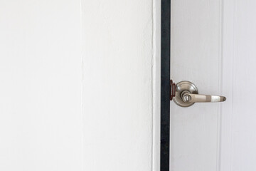 Metal door handles on modern wooden doors.