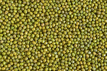 Mung bean seed (Green beans) background , background pattern,Top view.
