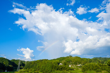 写真素材 青空 空 飛行機雲 夏の空 秋 背景 背景素材 9月 コピースペース Wall Mural Rummy Rummy