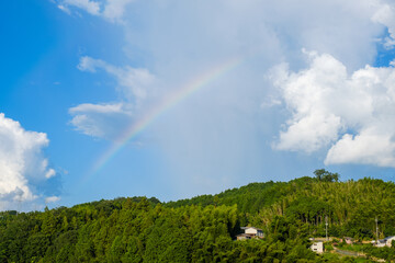 写真素材 青空 空 雲 冬の空 背景 背景素材 1月 コピースペース Wall Mural Rummy Rummy