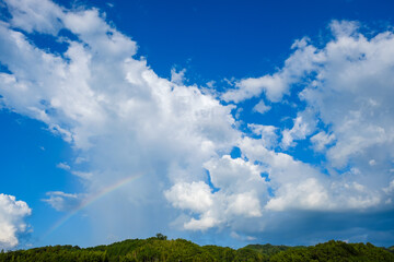Obraz na płótnie Canvas 真夏の青空と虹　積乱雲　8月　背景素材　コピースペース