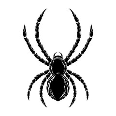 Illustration of dangerous spider in vintage monochrome style. Design element for logo, emblem, sign, poster, card, banner. Vector illustration