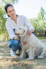 Young woman stroking old dog during walk in park at sunny day