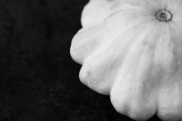 One pattypan squash is a variety of summer squash Cucurbita pepo on dark background in black and white. Copy space