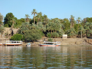 Fototapeta na wymiar Egypt, Nile River, palm trees and views