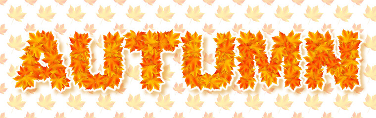 Word autumn made by fallen leaves