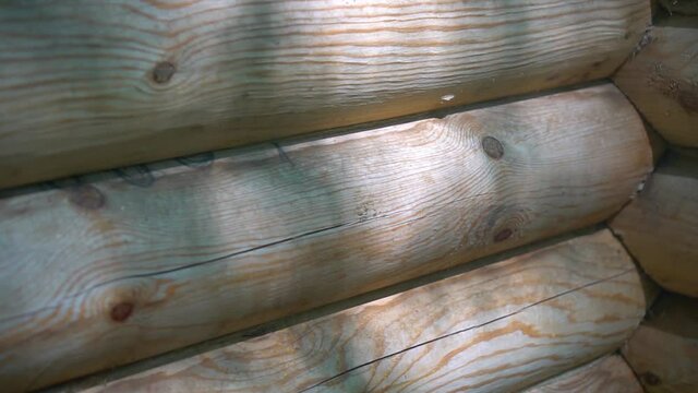 Rustic wooden balk wall background.