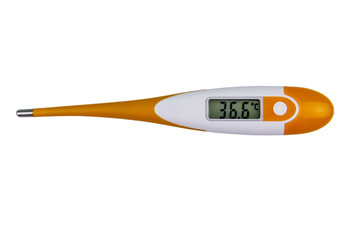 Digital medical thermometer showing healthy human body temperature 36.6 degrees Celsius isolated on white background