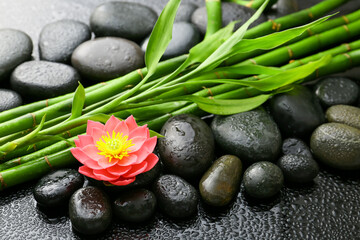Fototapeta na wymiar Spa stones, bamboo and lotus flower on dark background. Zen concept