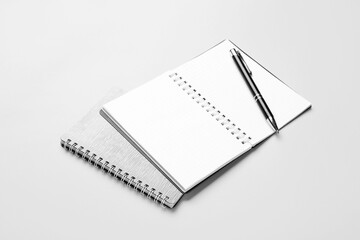 Notebooks and pen on light background