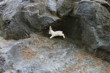 Bunny on the cave.