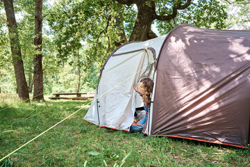 Woman looking out of tourist tent on sunny morning in the forest