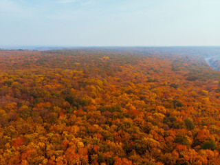 aerial view of autumn forest