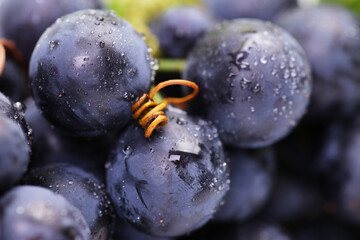 Grapes in drops of water