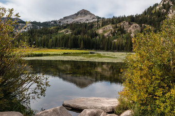 Reflections in Silver Lake, Silver Lake Nature Area,Brighton, Utah,USA
