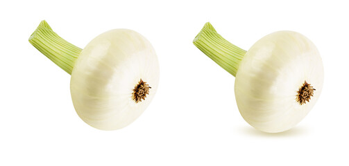 Onions isolated on white background with clipping path