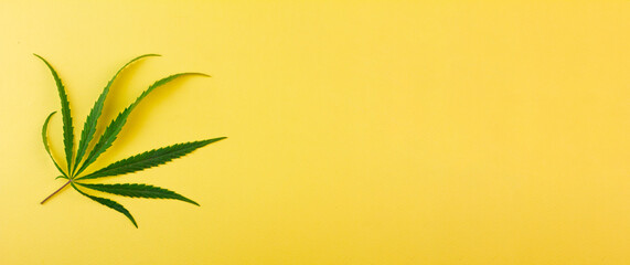 A miniature green cannabis leaf lies to the side against a yellow background. Photo banner. Place for your text. View from above.