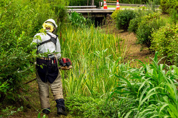 電動草刈機で草刈り作業
