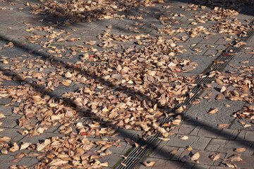 歩道に集まった落葉 